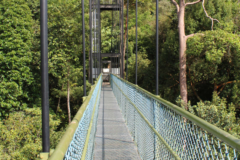 8 Best Things to Do On a Weekend in Singapore