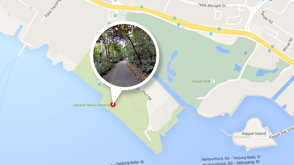 9 Haunted Parks to Avoid When Hungry Ghosts Roam Singapore!