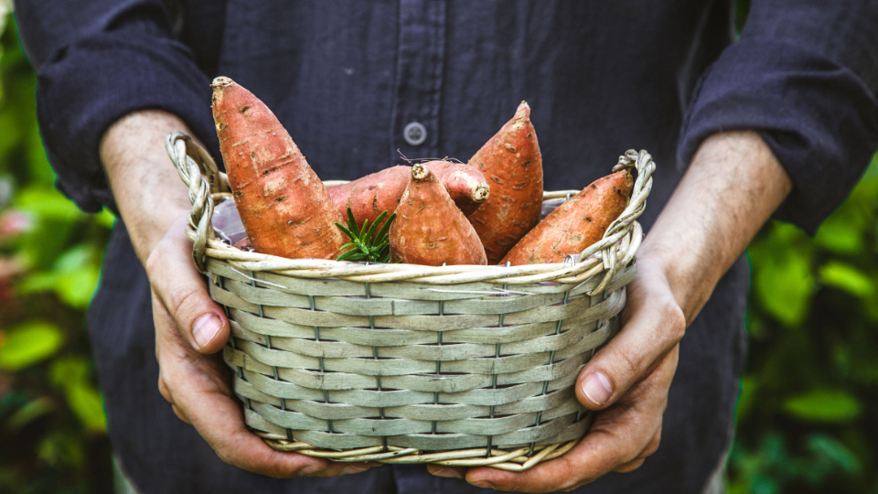 10 Foods To Boost Endurance And Strength