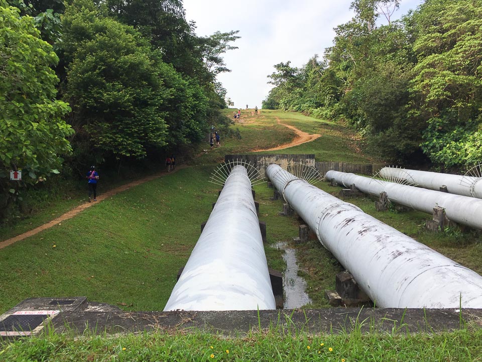 Force of Nature Ultra 2018 Race Review: Challenging Yet Fulfilling 