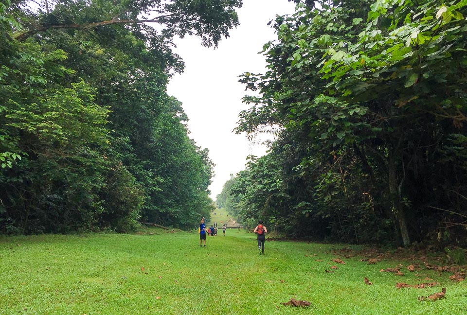 Force of Nature Ultra 2018 Review