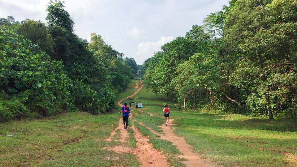 Forces of Nature Ultra 2018 Review