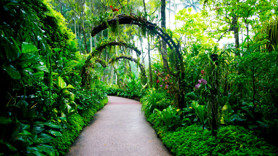 Singapore's Best Nature Parks and Greenery Spots for Runners